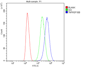 DR5/TNFRSF10B Antibody