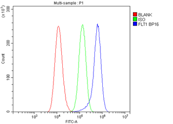 VEGF Receptor 1/FLT1 Rabbit Polyclonal Antibody