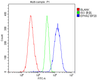 Eph receptor A2/EPHA2 Rabbit Polyclonal Antibody