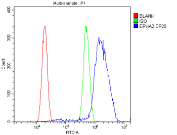 Eph receptor A2/EPHA2 Rabbit Polyclonal Antibody