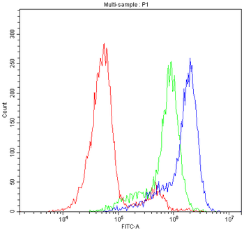 CLPX Rabbit Polyclonal Antibody