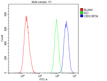 HP1 gamma/CBX3 Antibody