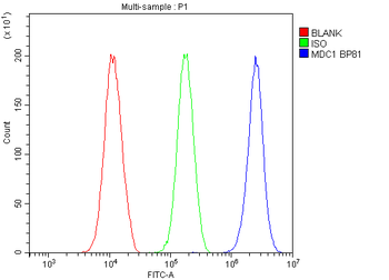 MDC1 Rabbit Polyclonal Antibody