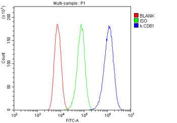 TAPA1/CD81 Rabbit Polyclonal Antibody