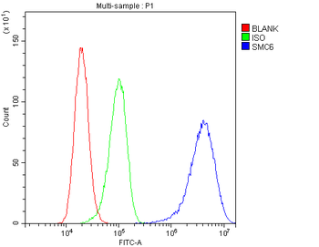 SMC6L1 Rabbit Polyclonal Antibody