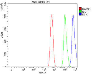 DCK Rabbit Polyclonal Antibody