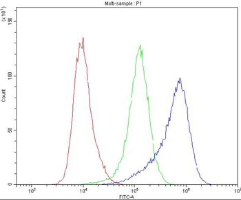 Dynamin 1/DNM1 Antibody