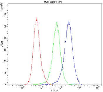 Dynamin 1/DNM1 Antibody
