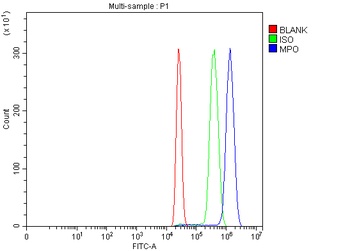 Myeloperoxidase/MPO Rabbit Polyclonal Antibody