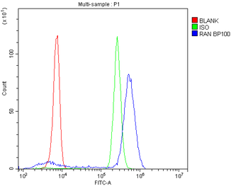 Ran Antibody