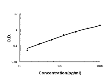 IL17/Il17a Antibody