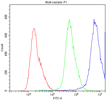 SUR1/ABCC8 Rabbit Polyclonal Antibody