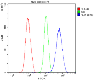 VEGF Receptor 3/FLT4 Antibody