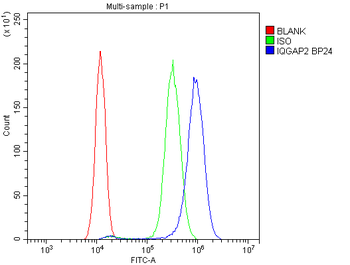 IQGAP2 Rabbit Polyclonal Antibody