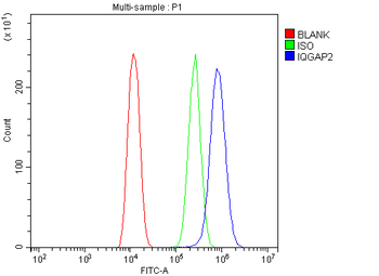 IQGAP2 Rabbit Polyclonal Antibody