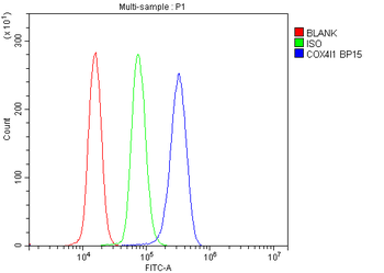 COX IV/COX4I1 Antibody