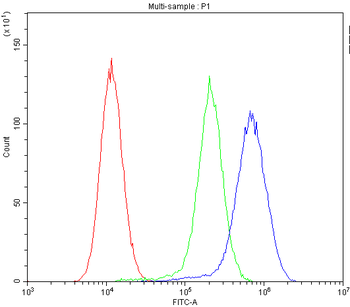 MVP Antibody