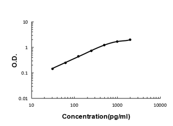 BCMA/TNFRSF17 Antibody