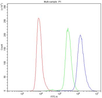 PDE4D Rabbit Polyclonal Antibody