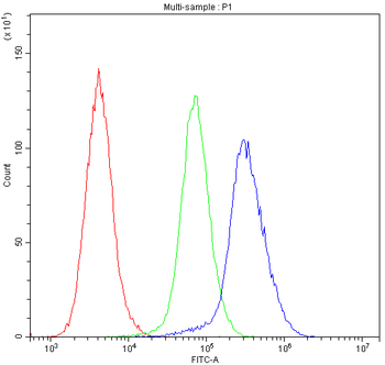 Insulin degrading enzyme/IDE Antibody