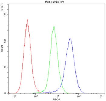 Insulin degrading enzyme/IDE Antibody