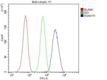 RUNX1T1/ETO Antibody
