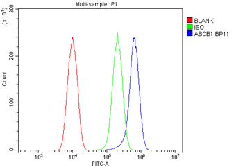 P Glycoprotein/ABCB1 Antibody