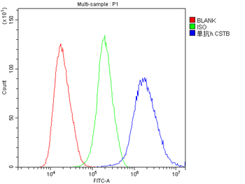 Stefin B CSTB Mouse Monoclonal Antibody