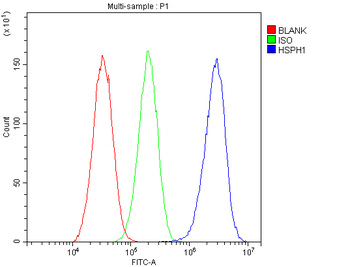 Hsp105/HSPH1 Antibody