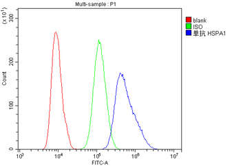 Hsp70 HSPA1A Mouse Monoclonal Antibody