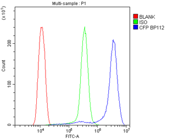 CFP Antibody