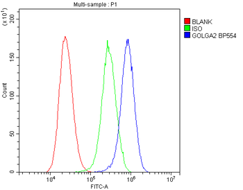 GM130/GOLGA2 Antibody