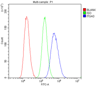 Integrin alpha 3/ITGA3 Antibody