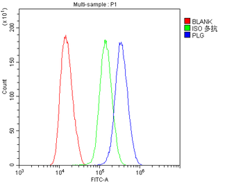 Plasminogen/PLG Rabbit Polyclonal Antibody