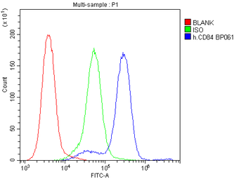 CD84 Rabbit Polyclonal Antibody
