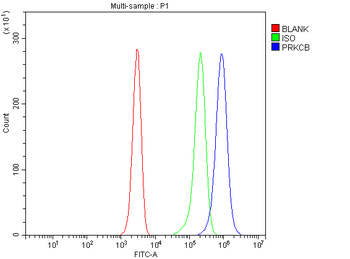 PKC beta 1/PRKCB Rabbit Polyclonal Antibody