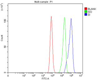 SI Rabbit Polyclonal Antibody