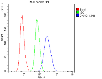 GNAQ Mouse Monoclonal Antibody