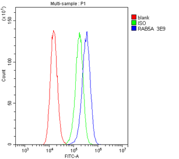 Rab5/RAB5A Mouse Monoclonal Antibody