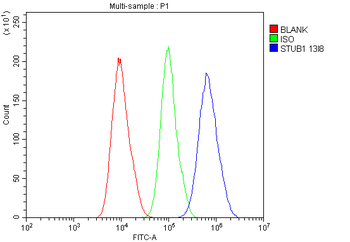 STUB1 Antibody (monoclonal, 13I8)