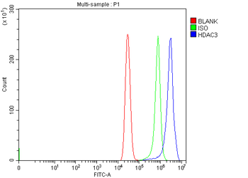 HDAC3 Rabbit Polyclonal Antibody
