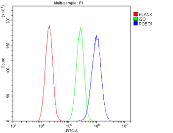 ROBO1 Rabbit Polyclonal Antibody
