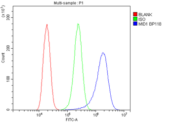 MID1 Rabbit Polyclonal Antibody