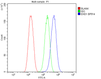 EHD1 Antibody