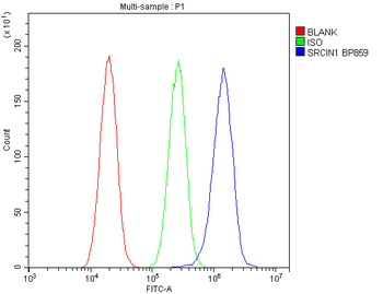 SRCIN1 Antibody