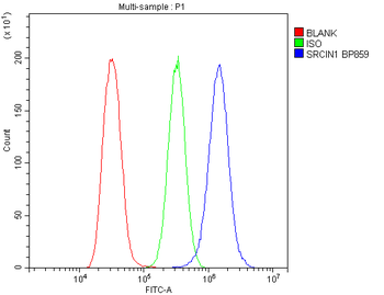 SRCIN1 Antibody