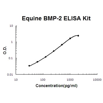 Horse equine BMP-2 ELISA Kit