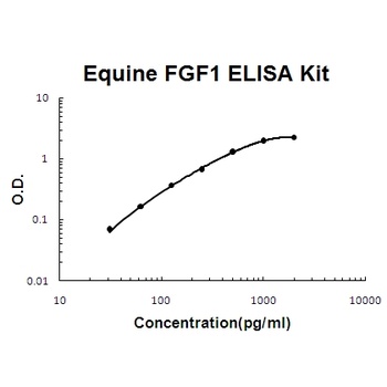 Horse equine FGF1 ELISA Kit
