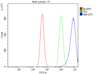 NMI Antibody (monoclonal, 2F3)