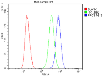 PPCS Mouse Monoclonal Antibody